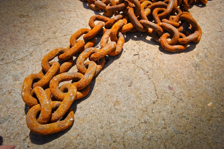 Photo dog on a chain